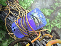 劍橋設計新型電池：儲電量飆升5倍