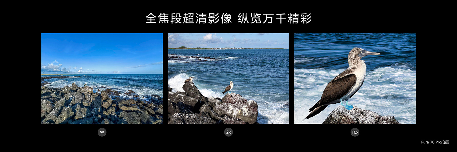 幾分鐘解決糾結癥！618大促華為Pura 70系列推薦，誰是你的C位？